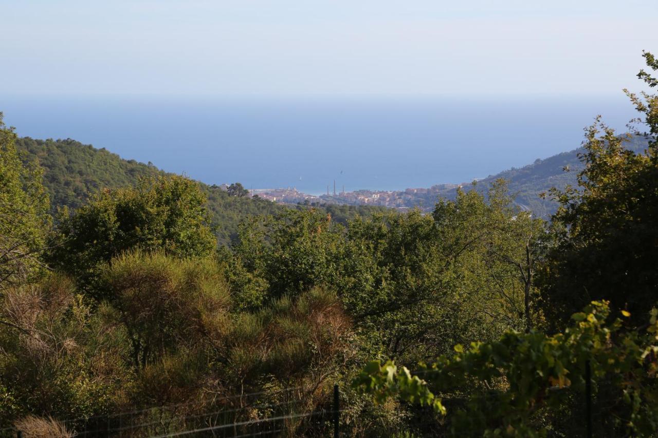 Casa Mari Villa Pontedassio Kültér fotó
