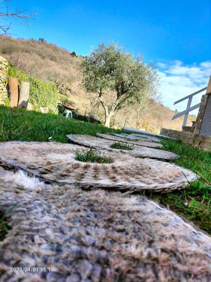 Casa Mari Villa Pontedassio Kültér fotó